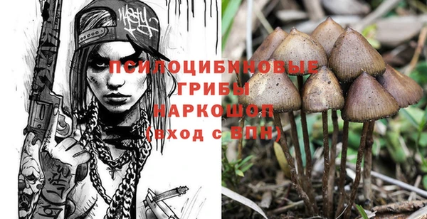 кристаллы Горняк
