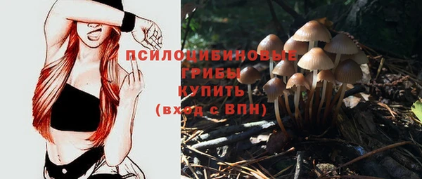 мяу мяу мука Горно-Алтайск