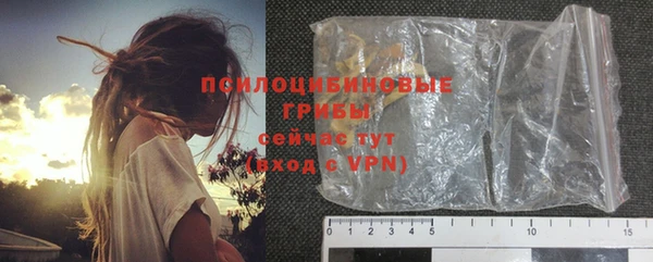 мяу мяу мука Горно-Алтайск