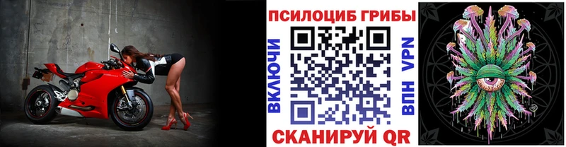 Псилоцибиновые грибы ЛСД  Купить  Нарьян-Мар 